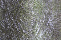 Teddington fibreglass roof work